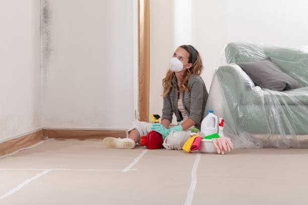 Reliable Mold Remediation contractor in Stevensville, MD by WQB Mold Removal